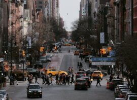 Bronx new york local businesses