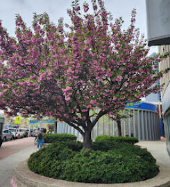 Queens Place Mall